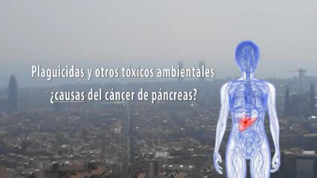 Plaguicidas y otros tóxicos ambientales ¿causas del cáncer de páncreas?